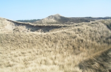 DSCF3401_Bildgröße ändern