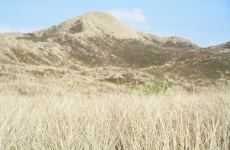 DSCF3405_Bildgröße ändern