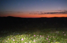 DSCF3511_Bildgröße ändern