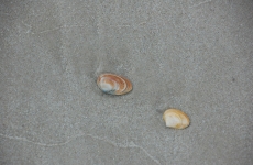 DSC_5667_Bildgröße ändern
