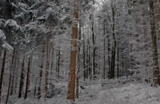 Czorneboh_Impression1