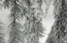 Czorneboh_Winterimpression18