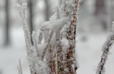 Czorneboh_Winterimpression24