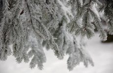Czorneboh_Winterimpression7