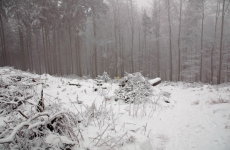 Czorneboh_Winterimpression__amp__Stan