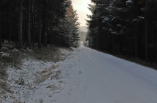 Czorneboh_auf dem Weg zum Turm